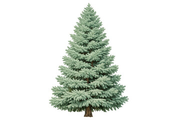 Fototapeta premium Blue spruce pine tree, evergreen conifer for winter holidays, christmas, nature, and seasonal celebrations with transparent background
