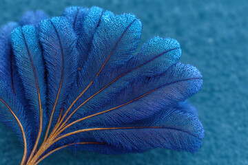 A macro shot of an elegant blue feather with a fine texture and soft, velvety sheen against a calm, blurred background.  