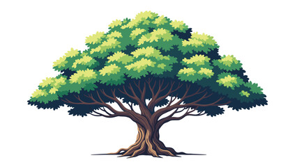 Massive old green tree with a thick trunk and wide spreading branches covered in lush leaves against a white background.