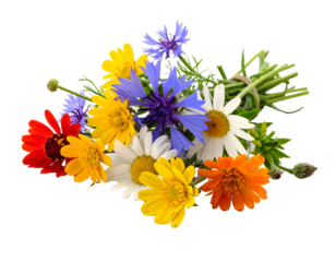Colorful bouquet of wildflowers, daisies, cornflowers, and calendula