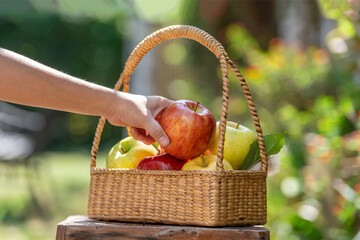 Hand pick up apple from a wicker basket filled with fresh red and green apples outdoors in natural sunlight, symbolizing harvest, organic fruit, healthy eating, and farm to table lifestyle.