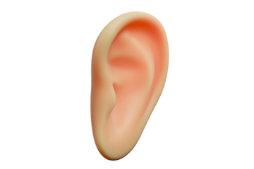 3D Render of Human Ear with Transparent Background