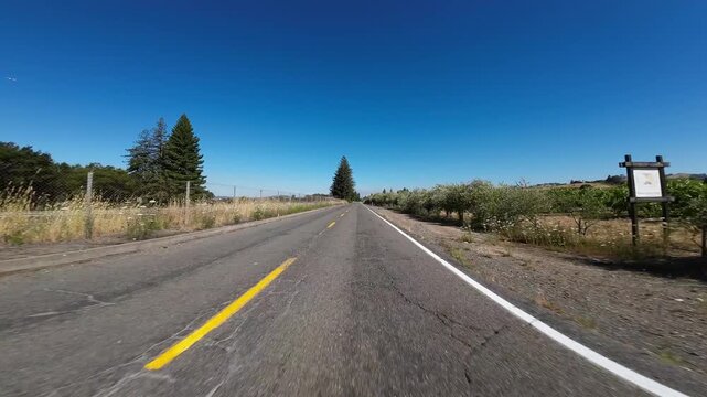 California Wine Country Vineyards 02 Front View Driving Plates of Sonoma County USA Ultra Wide