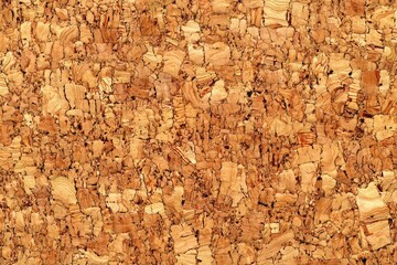 Tan Brown Cork Board Texture Background Detailed Close Up Shot