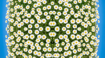 Symmetrical Kaleidoscope Pattern of White Daisy Flowers on a Bright Blue Background