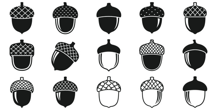 Collection of fifteen unique black and white acorn icons featuring various styles of detailed caps and smooth nuts for nature and autumn design projects