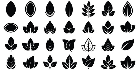 Collection of diverse black and white stylized leaf icons and natural foliage silhouettes perfect for organic branding and environmental design projects