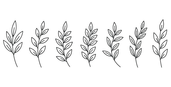 Collection of six different simple black and white botanical line art sprigs featuring delicate leaves perfect for minimalist design elements or elegant decoration