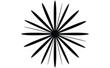 Fototapeta premium Black and white snowflake and star pattern illustration