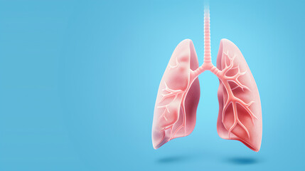 3D medical rendering of lung alveoli with PM2.5 particles clinging to lung cells.