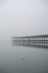 Fototapeta premium Seagull and Tinto Wharf in Huelva. Foggy day. Vertical photograph.