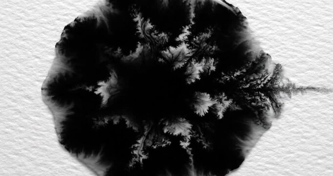 Ink Blot on White Surface.