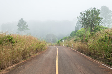 Asphalt road in the forest with fog. Road background.