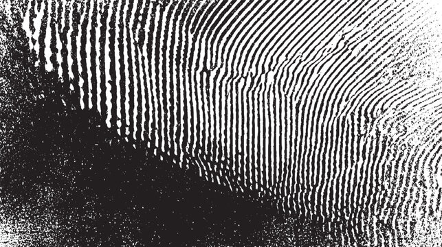 Abstract black and white fingerprint texture with distressed grunge overlay and organic wavy lines creating a detailed background pattern