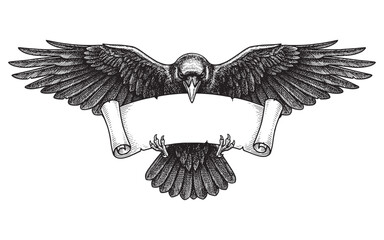 Obraz premium Raven Bird Flying and Holding a Blank Ribbon Scroll Banner in its Talons