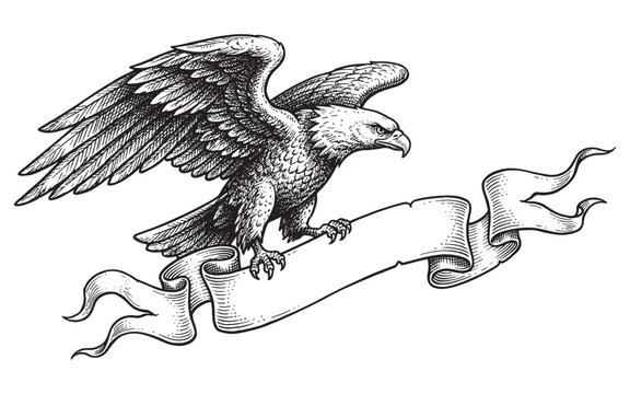 Majestic bald eagle in flight holding a blank ribbon banner, vintage hand drawn engraving style.