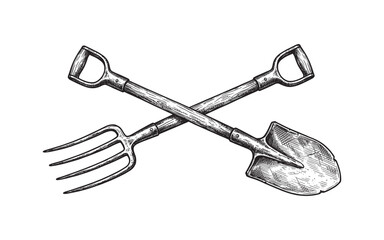 Crossed Vintage Farm Tools Shovel and Pitchfork Illustration © trianatio