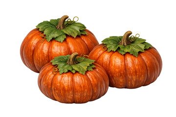 Obraz premium Three orange pumpkins showing autumn harvest and halloween decoration with green leaves, transparent background