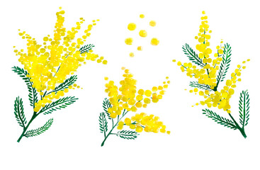 ミモザの水彩風イラストのセット