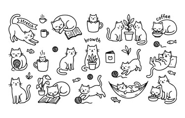 Cat 5 Copy Scene © Juwanyar