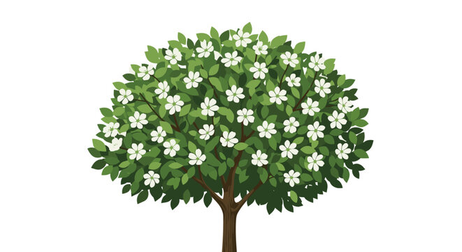 Beautiful illustration of a lush green deciduous tree in full bloom with many delicate white flowers, isolated on a white background.