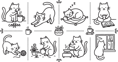 Cat 7 Activities © Juwanyar