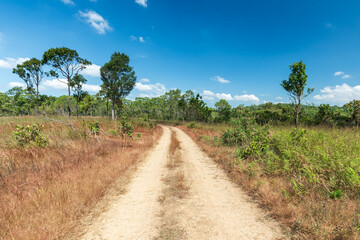 Landscape of dirt road in countryside with blue sky. Road background.