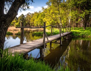 Wooden bridge over serene pond surrounded by lush green foliage