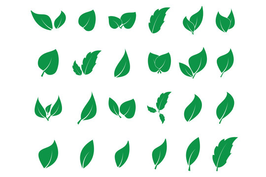 set of Leaf Icon Vector, green Leaf Icon Vector, leaf and leaves icon, simple leaf icon, vector illustration.