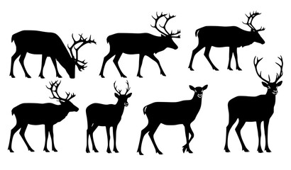Fototapeta premium Elegant reindeer silhouette vector set of male and female deer for winter, holiday, and seasonal designs