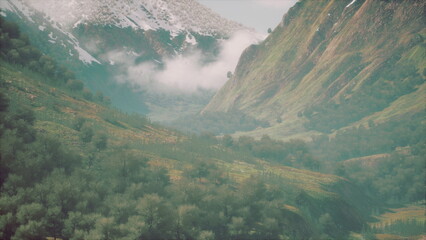 Majestic mountains tower over a verdant valley, enveloped in a soft blanket of mist. Nature flourishes with vibrant greenery and hints of snow, creating a serene atmosphere.