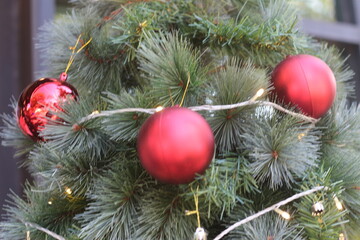 Decorate the Christmas tree beautifully.