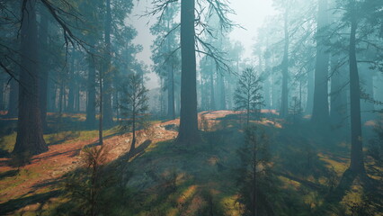Obraz premium Sunlight streams through a dense forest, illuminating a serene clearing. Shadows dance among tall trees as a light fog adds a mystical touch to the tranquil setting.