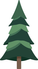 Fototapeta premium Vector Illustration of Evergreen Pine Tree Isolated on White for Holiday and Nature Design