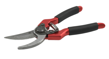 Professional red and black pruning shears with a spring mechanism for gardening tasks