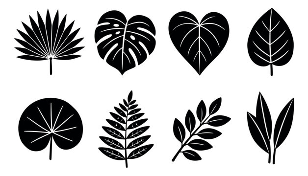 Stylized tropical leaves set featuring diverse botanical shapes for nature themed designs