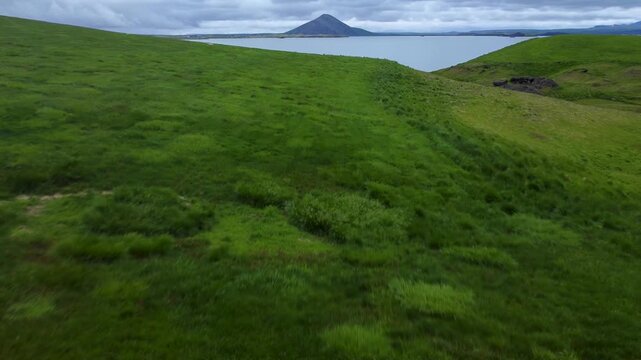Aerial drone view of Skutustadagigar pseudo craters along Lake Myvatn shoreline. Green volcanic terrain meets calm water under cloudy sky in remote northern Iceland.
