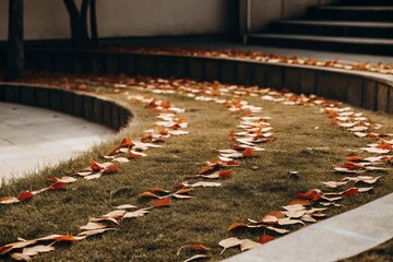 garden in the garden