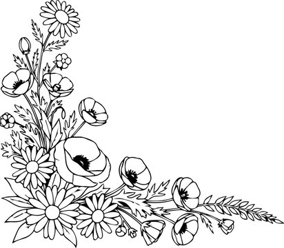 Delicate Corner Floral Frame Featuring Daisies and Poppies, Botanical Line Art Border
