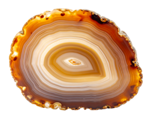 Sliced agate cross-section with banded concentric rings of brown, white, and amber