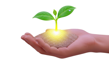 Hand Holding Sprout Growing from Fertile Soil with Bright Light