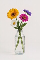 vase with flowers, man watering garden and flowers