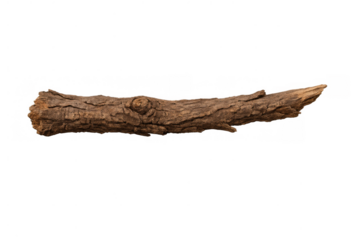 Dry wood stick isolated on transparent background illustrating nature material, forest, logging, and environment themes