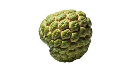 Obraz premium A vibrant green custard apple fruit elegantly isolated on a pure white backdrop showcasing its intricate segmented skin and healthy appeal perfectly