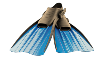 Pair of Blue and Black Flippers
