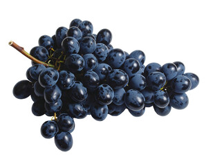 Fototapeta premium A dark, ripe bunch of grapes with a prominent stem, isolated on a white background