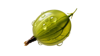 Naklejka premium A radiant green gooseberry, glistening with pristine water droplets, meticulously isolated against a luminous white backdrop, showcasing its fresh,