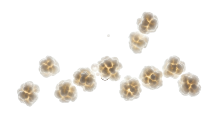 Expansive abstract biological forms showcasing intricate internal luminosity, illuminating microscopic processes and foundational organic