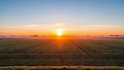 Sunrise over a symmetrical verdant field with linear crop rows stretching to the horizon under a blue and orange sky