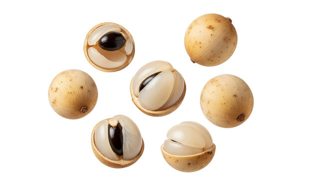 Exotic tropical duku langsat fruits in various stages of presentation whole and sectioned revealing juicy segments and dark seeds against a clean